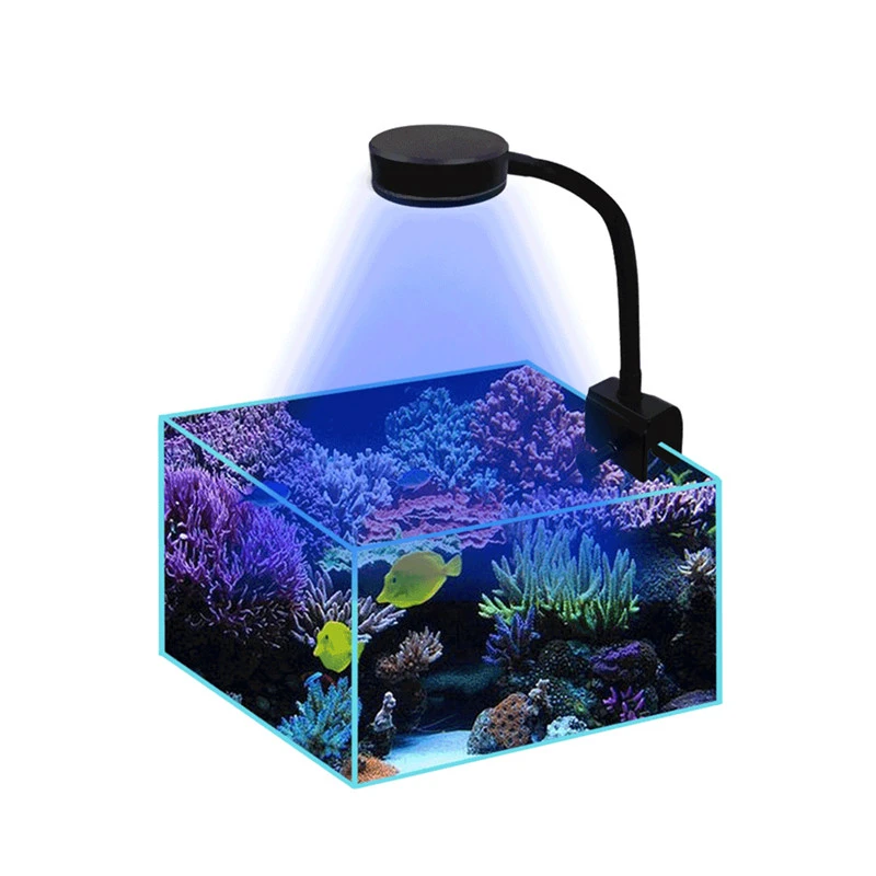 Nano Tank Marine Aquarium Lighting Led Lighting Aquarium Sea Water - Lightings - Aliexpress