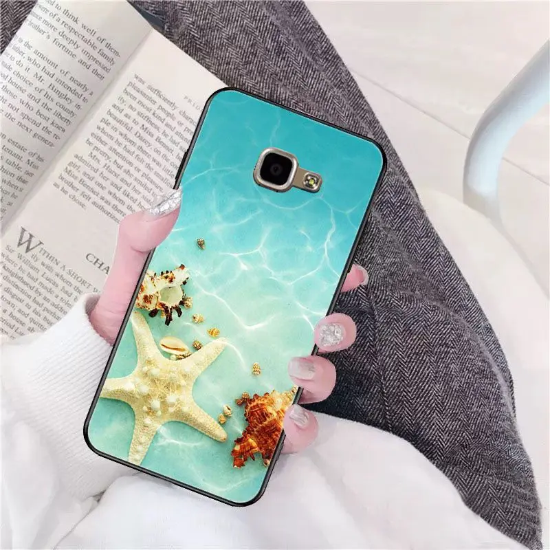 beach starfish blue sky