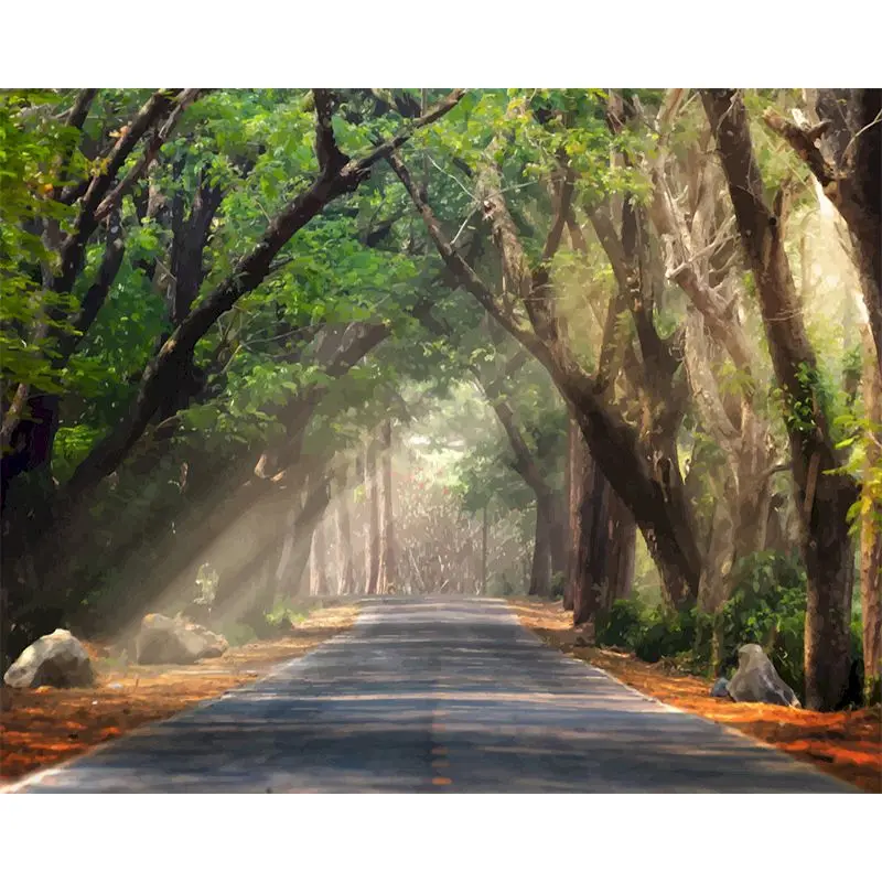 2297大路两边树木