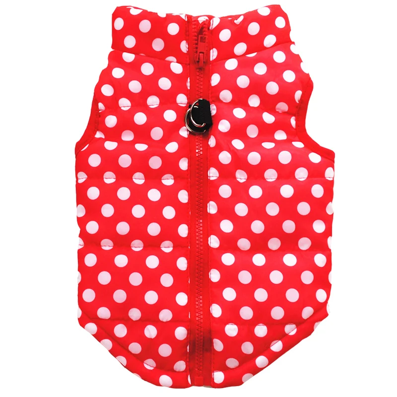 Sphynx Cat Coat Jacket