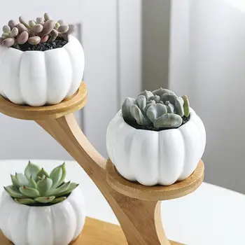

Hot Pumpkin Shape Ceramic Succulent Plant Flower Pot Planter Holder Bamboo Shelf
