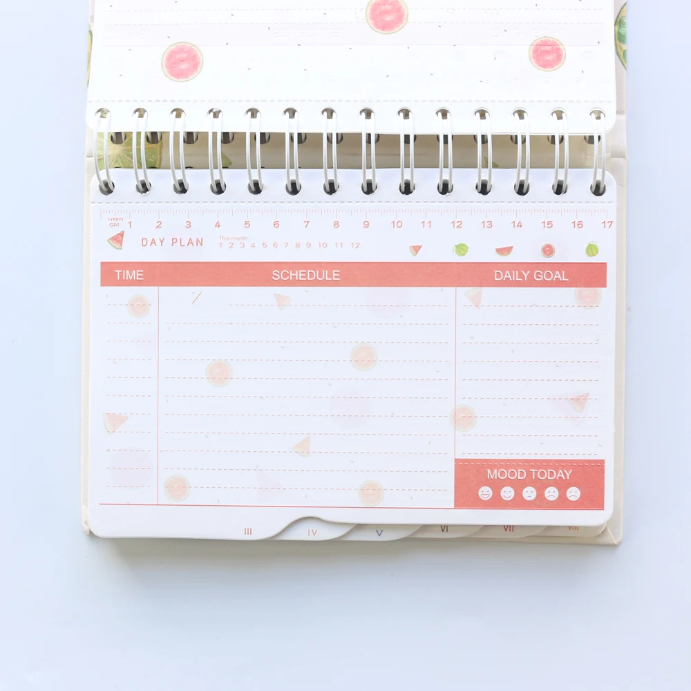 Domikee new cute fruit daily weekly planner notebook,kawaii daily schedule agenda planner organizer stationery A5