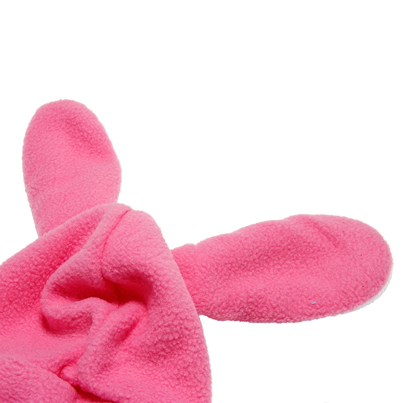 宠物变身装兔子 (11)