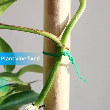

Strapping Rope Garden Tie 100m Green Gardening Plastic Coated Plate Line Useful Vines Binding Wire Flower DIY Tie-Line