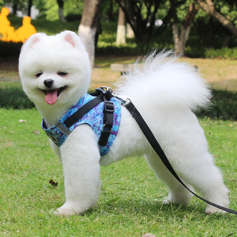 Blue Sea Dog Leash Harness for Small Medium accessories Puppy Cat Pet Vest Reflective Walking Lead Bichon | Дом и сад