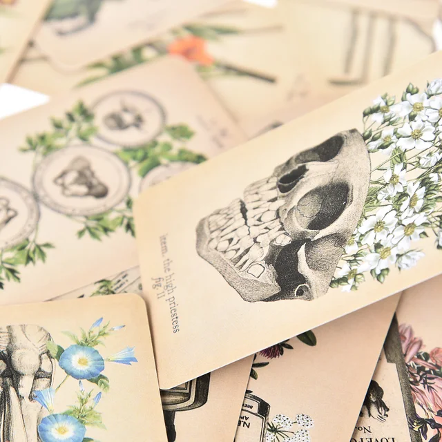 The Antique Anatomy Tarot Cards English Version 3