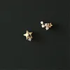 Stud Earring