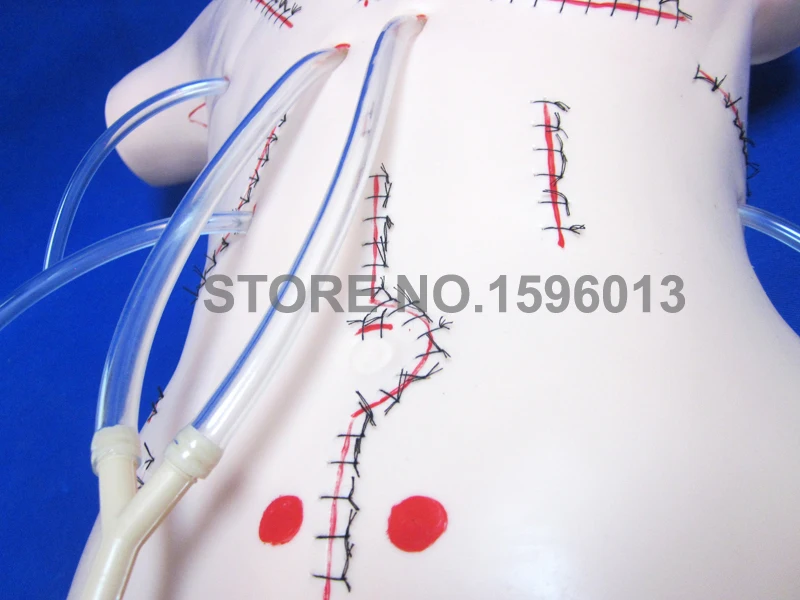 LV18 surgical manikin (3)