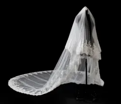 Luxury 5 Meters Wedding Veil with Lace appliques  Long Wedding Veil with Comb White Ivory Bridal Veil 2020 Accessories in Stock