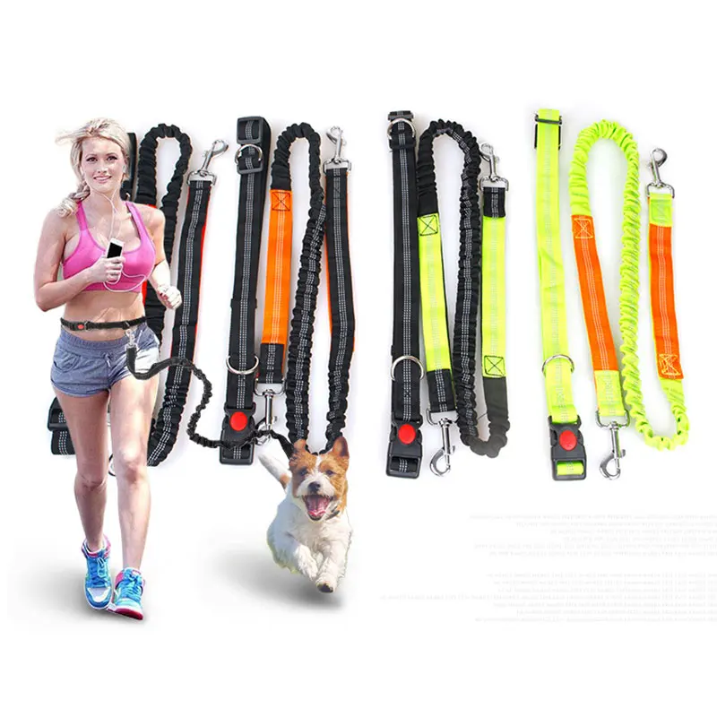

Personalized Dog Collar and Leash Hands Free Running Reflective Rope Elastic Nylon Extend Puppy Walking Training Dog Accessories