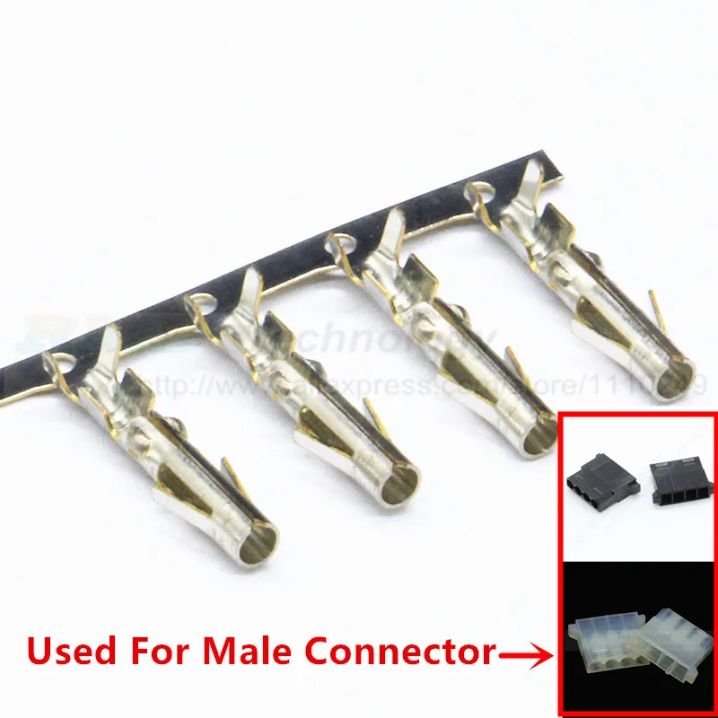 IMG_6031_副本2_副本