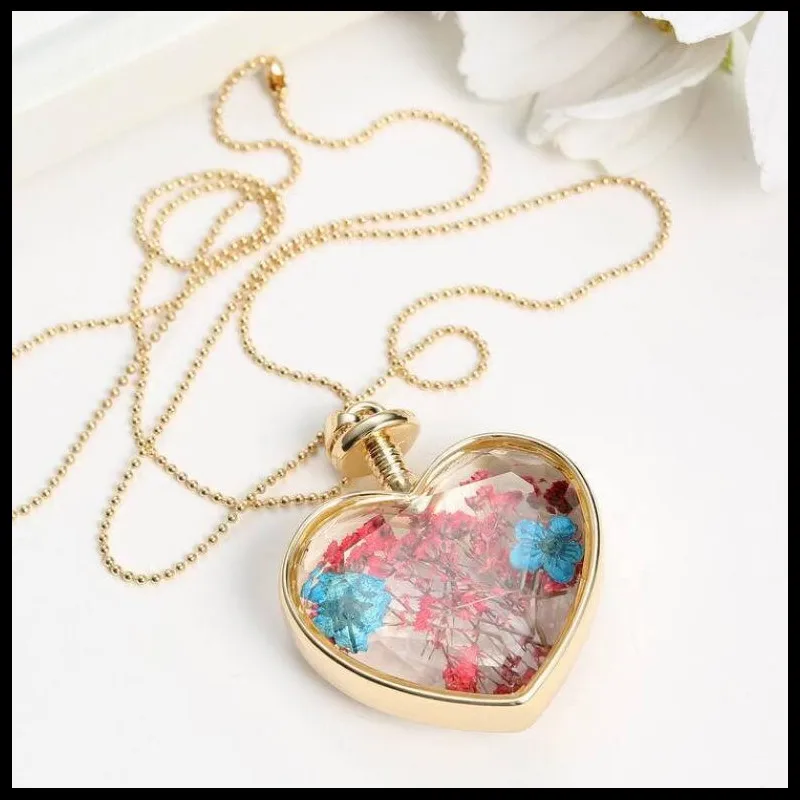 150N36 心形植物干花 16