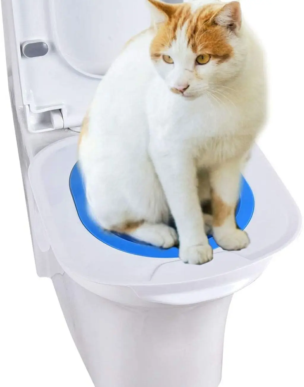 

Plastic Cat Toilet Training Kit Litter Box Cat Toilet Trainer Toilet Pet Cleaning Cat Training Litter Kwitter Cat Litter Tray