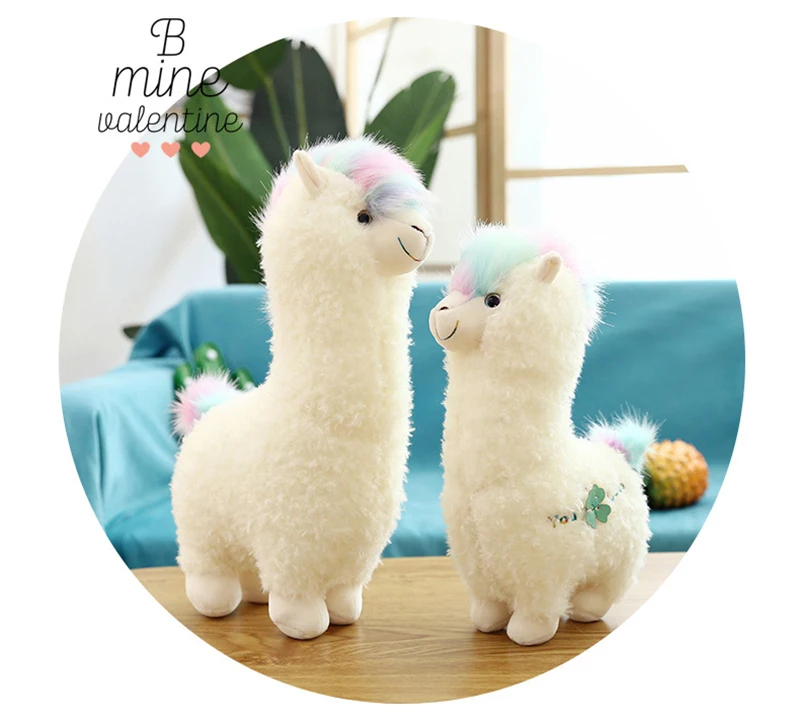 12088003372_457482698