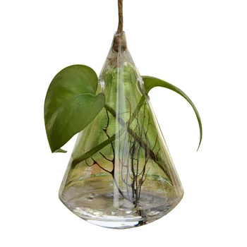

Hydroponic Plant Vase Desktop Clear Glass Water Drop-shaped Terrarium Plant Holder for Garden Balcony Office Desk