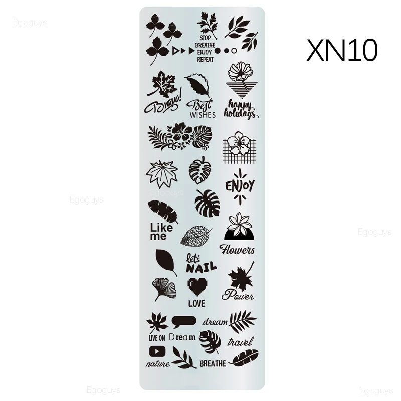 XN10