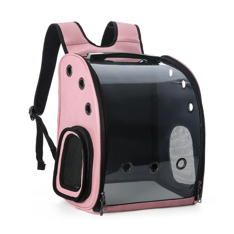 12545170538_345777210