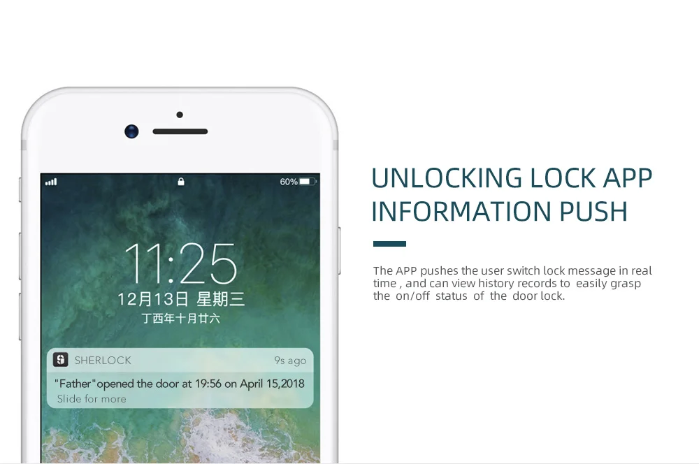Smart Lock  (6)