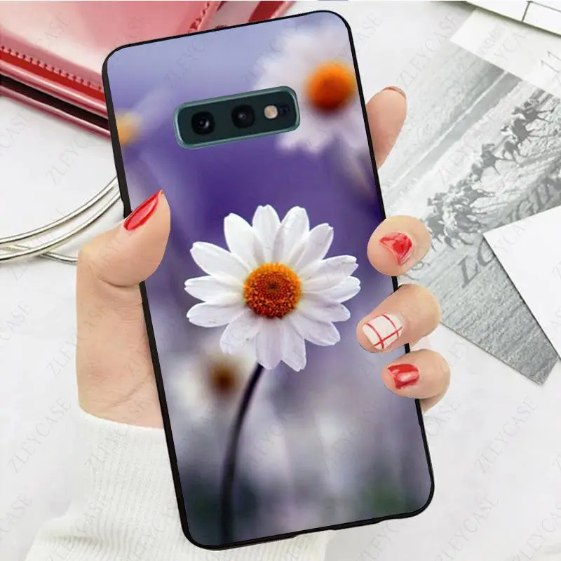 daisy flower
