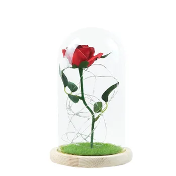 

2019 High Quality Romantic Simulation Rose Flower Glass Cover LED Micro Landscape Gift Support Wholesale Dropshipping Selling