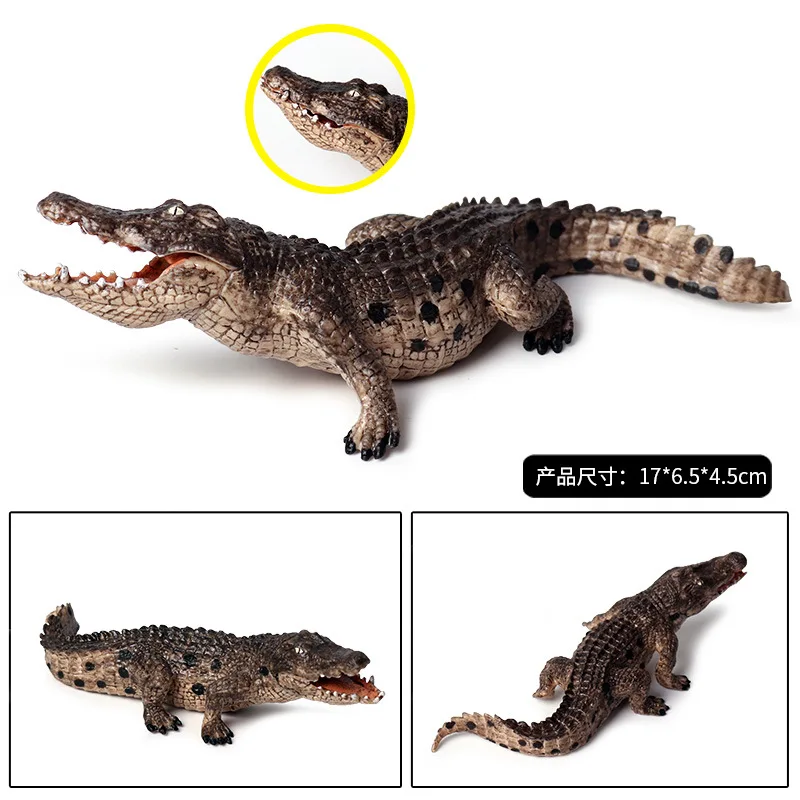 Дети Твердые модели амфибия животное модель крокодила BoarCroc Нил крокодил дикие игрушки животные
