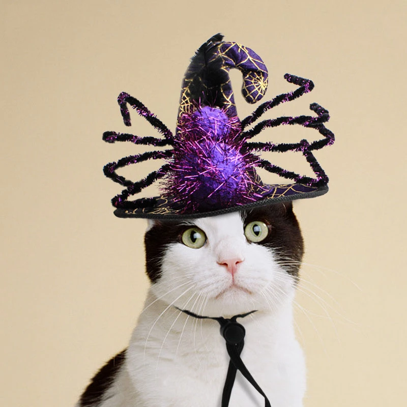 

Halloween Party Hat Decoration Christmas Pet Cat Dog Pumpkin Spider Hat Small Dogs Product Cute Funny Cosplay Gift