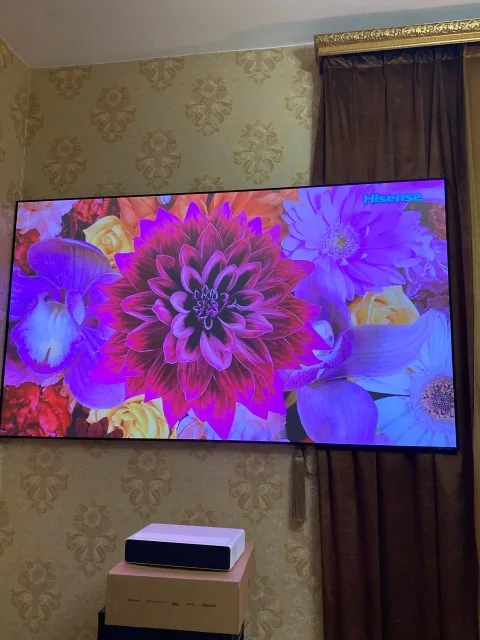 Рисунок 2 - Смарт-проектор Ingscreen