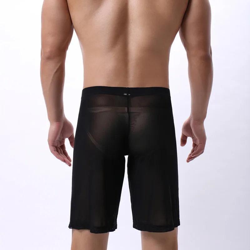 NEI20191114-0162_副本