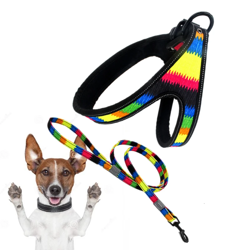 

NEW Nylon Print Dog Harness And Leash Set Breathable Mesh Adjustable Straps Pet Small Dog Harness Vest High Quality Material