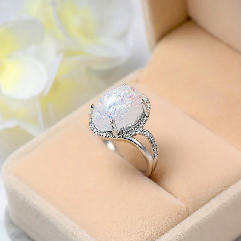 8842856110_1559436380