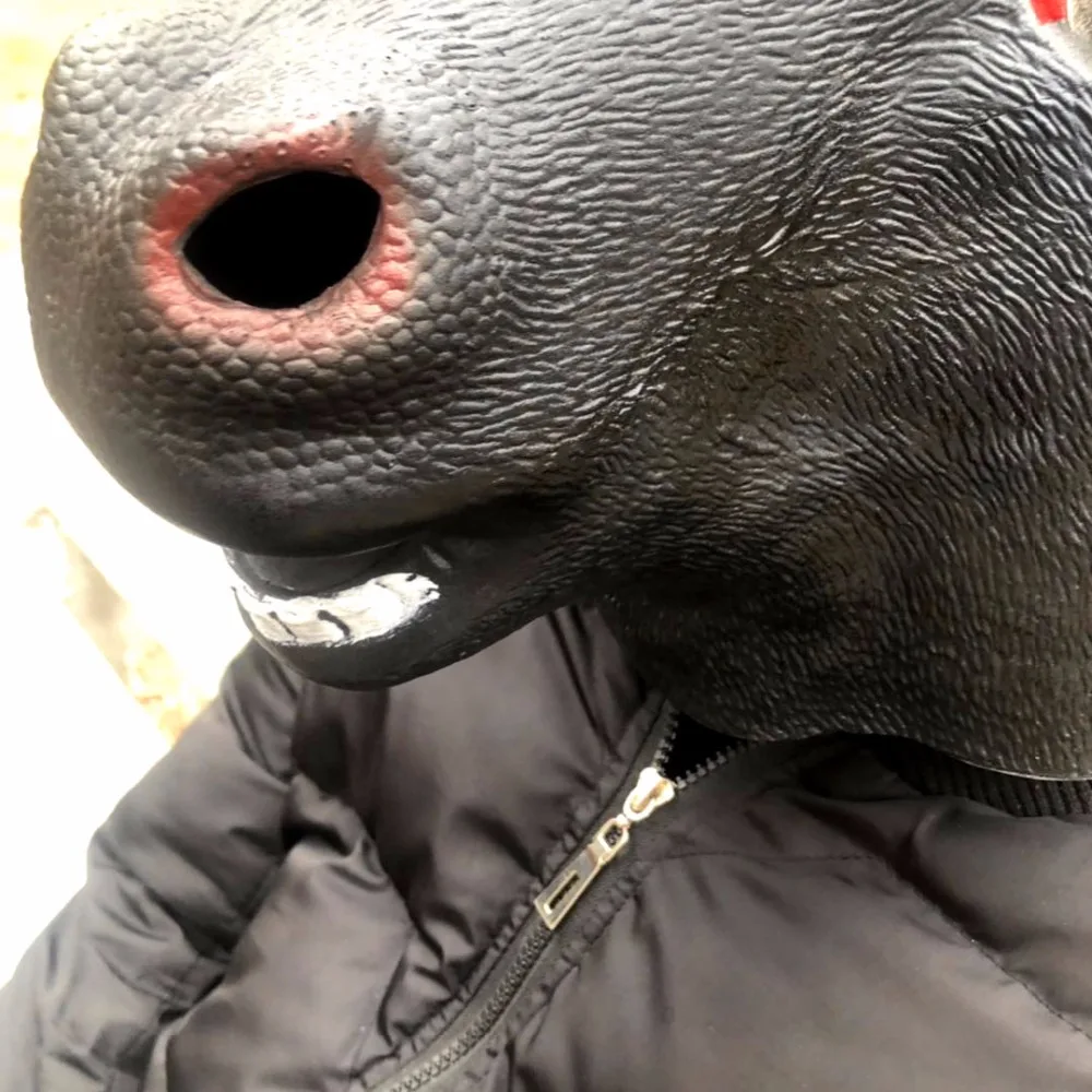 10423286971_1290734885