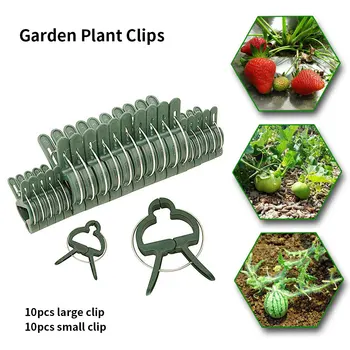

10PCS Horticultural Plants Horticulture Fixed Clip Plant Support Vine Garden Vegetable Upright Growth Tool Plant Support