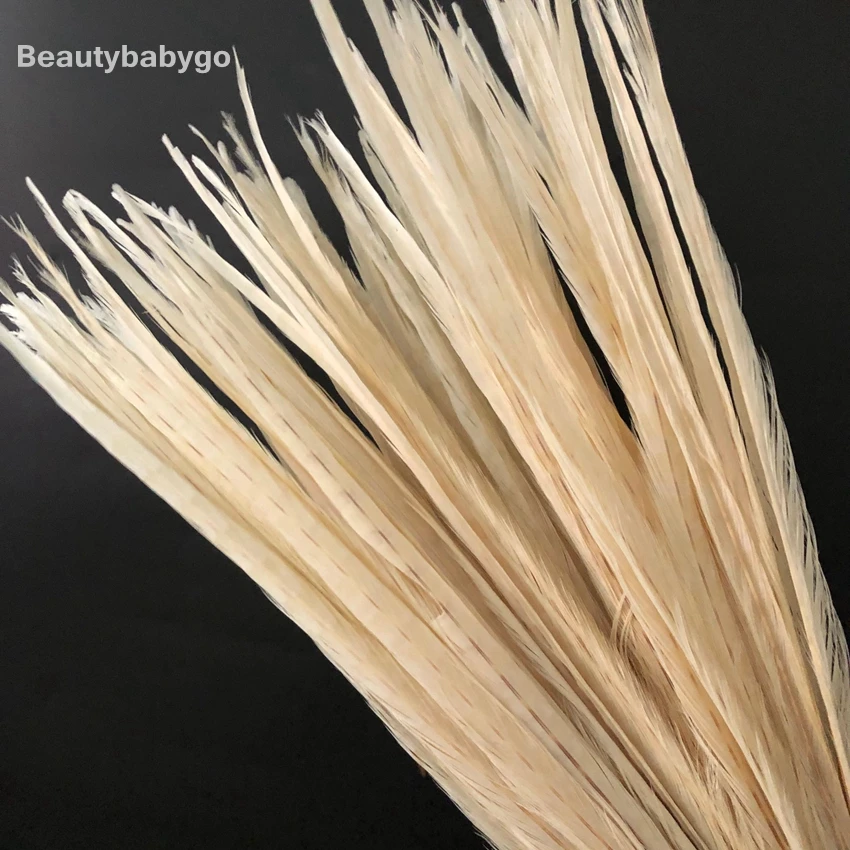 50-55cm 20-22inch Silver Paint Ringneck Pheasant Tails Feather Natural Chicken Feathers For Carnival Halloween Decorations Craft