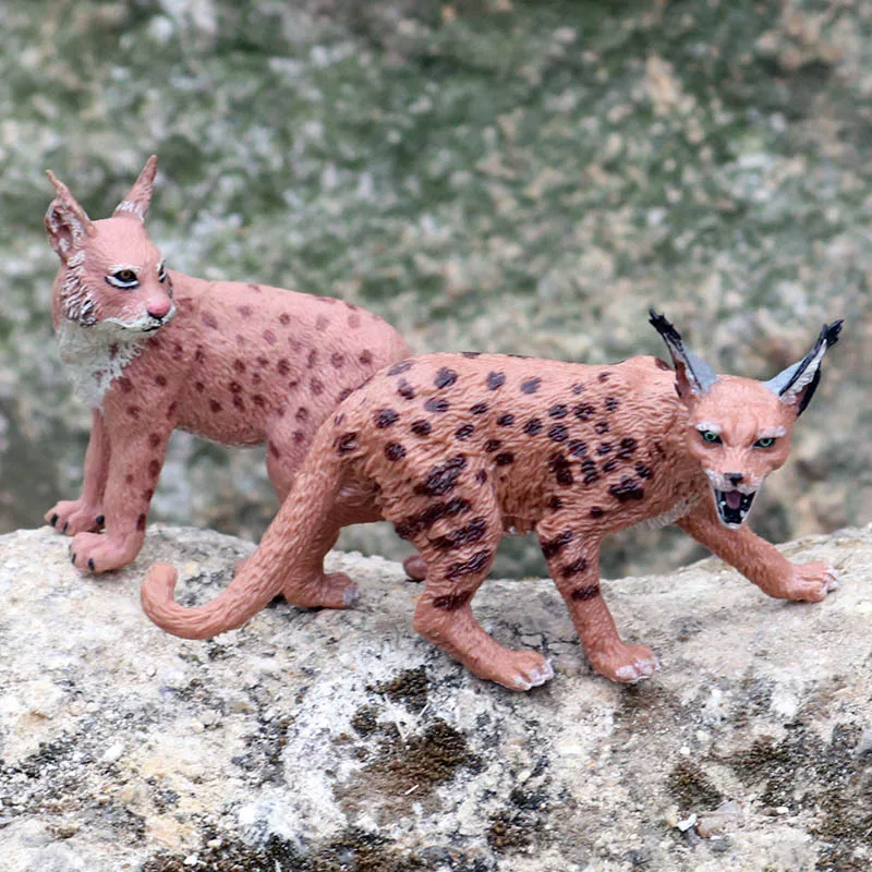 12998164044_1464955482