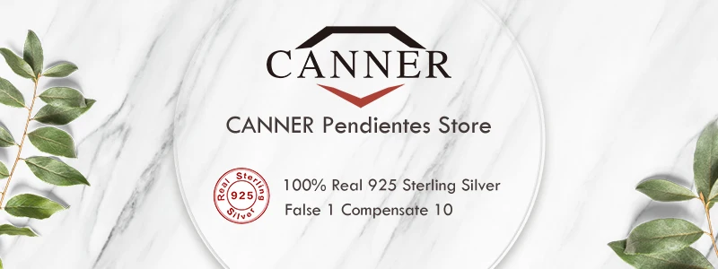 CANNER 925 Sterling Silver Cubic Zirconia Piercing Cartilage Earrings for Women Stud Earring Wedding Party Jewelry Free Shipping