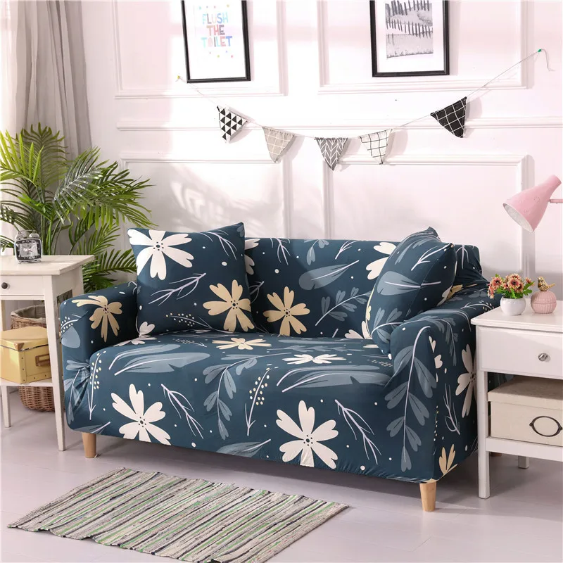 12717582539_450896333