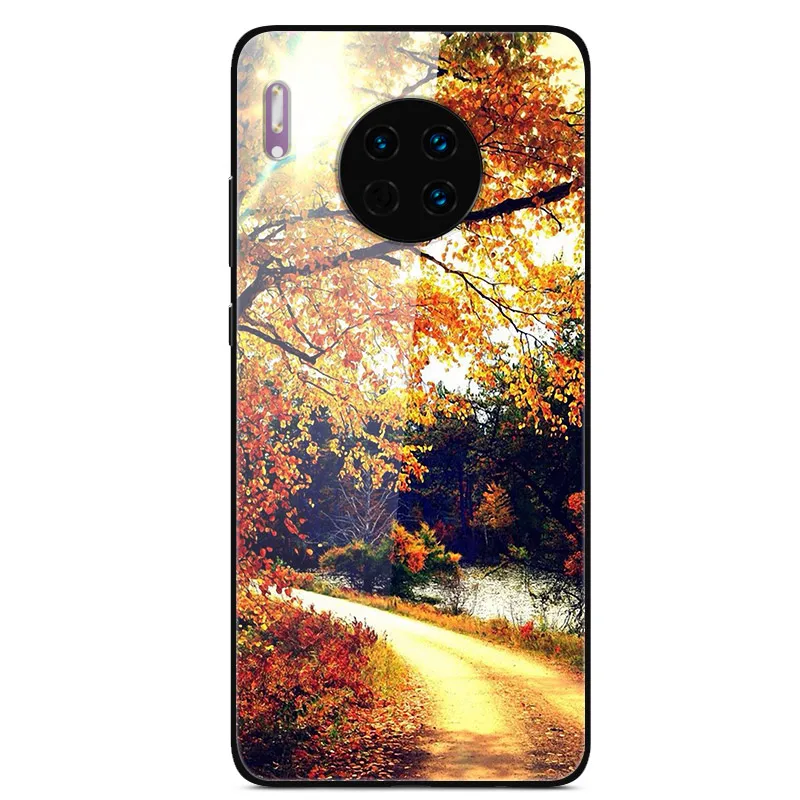 27 Для huawei mate 30 Pro Чехол из закаленного стекла, планета космос, чехол из стекла для huawei mate 30 mate 30 Pro 30Pro Coque Shell Для huawei mate 30 Lite 30 Lite, стеклянный чехол - Цвет: 27