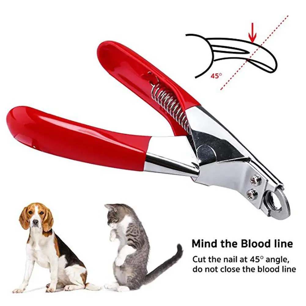 Professional Pet Cat Dog Nail Clipper Cutter Stainless Steel Grooming Scissors Clippers Claw with Paper Card | Дом и сад