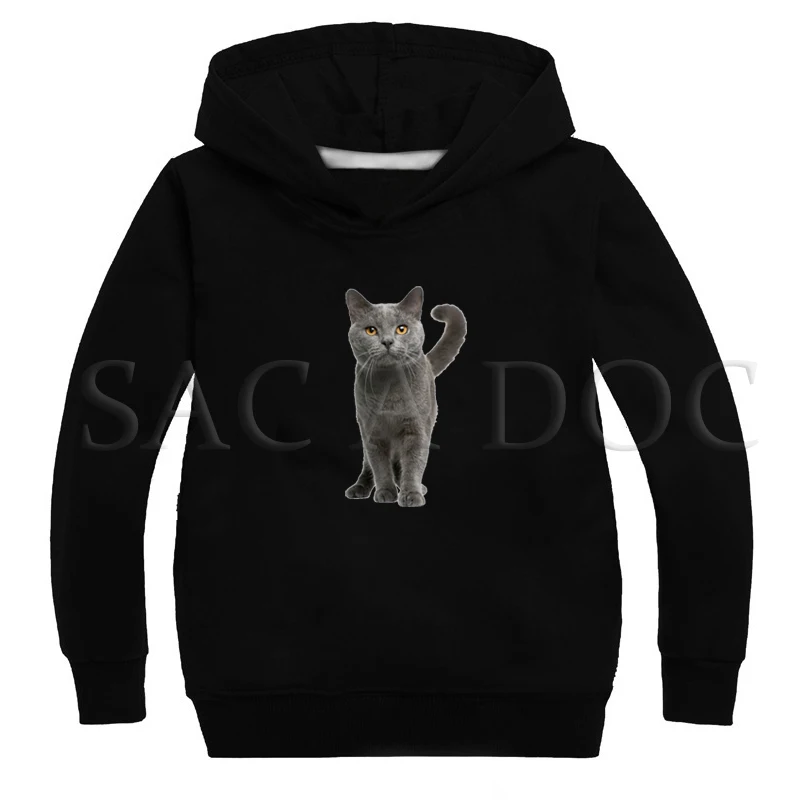 Hoodies 12 Детская одежда с изображением кота; толстовка с капюшоном для девочек; толстовки с капюшоном для мальчиков; горячая распродажа; Осенняя теплая мягкая модная одежда с принтом - Цвет: Hoodies 12
