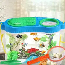 Caixa de brinquedo para educação infantil, conjunto de quebra-cabeça de caixa de plástico para educação infantil, de inseto, alimentação, caixa de brinquedo
