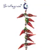 BRISTLEGRASS Turkish Blue Evil Eye Red Chili Tassel Amulets Lucky Charm Wall Hanging Pendants Pendulum Blessing Protection Decor 3