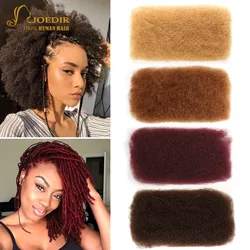 Joedir Brazilian Remy Hair Afro Kinky Curly Bulk Human Hair For Braiding dreadlocks Hair Extensions Crochet Braid hair 10-22
