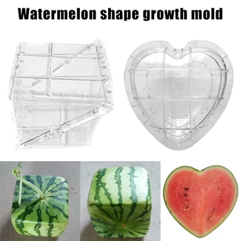 

Watermelon Shaping Grow Mold Growth Forming Mold Fruit Shaping Mould Vegetable Growing Mould JS22
