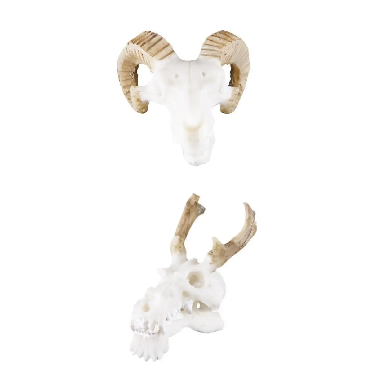 2 Pcs Resin Reptile Vivarium Decoration Terrarium DIY Landscaping Ornament Goat Skull and  Dragon Skull Shape