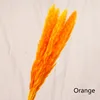 7pcs-Orange