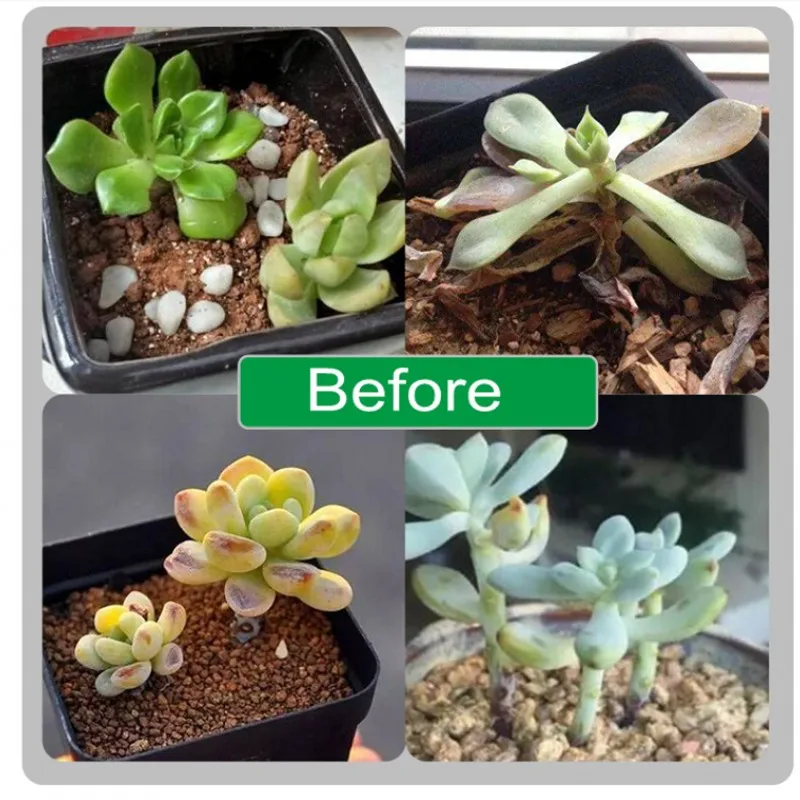 H7227f19a74a44e2c8f7a152781e8054eT