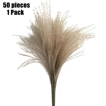 

Pampas Grass White 7 Head Cotton Cheap Home Decoration Dried Flower Rabbits Tail Grass