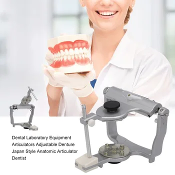 

Oral Dental Articulators Laboratory Equipment Adjustable Denture Anatomic Articulator Dentist for Mounting Pre-cast Dental Model