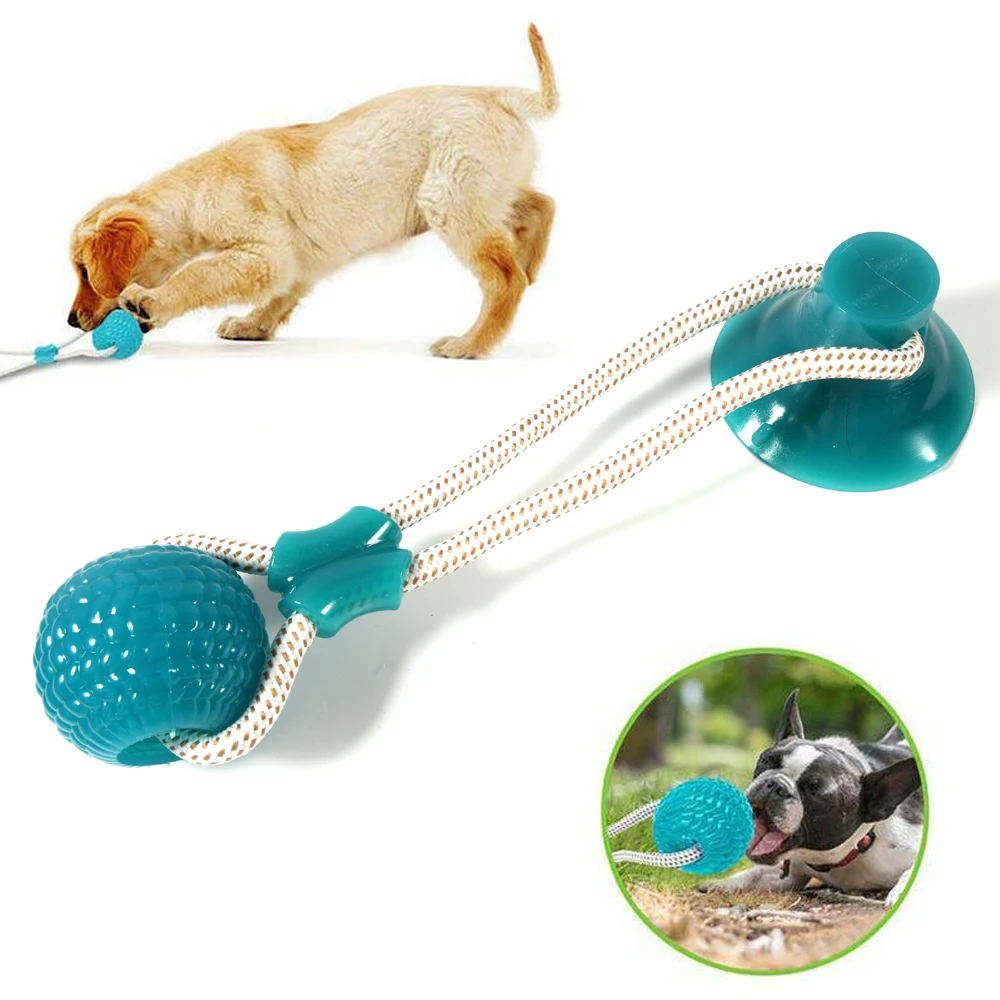 4 Safe Dog Toys and 4 to Avoid!