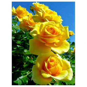 

Diy Diamond Painting Cross Stitch Yellow Rose Picture Handmade Painting Flowers Full Round Diamond Embroidery